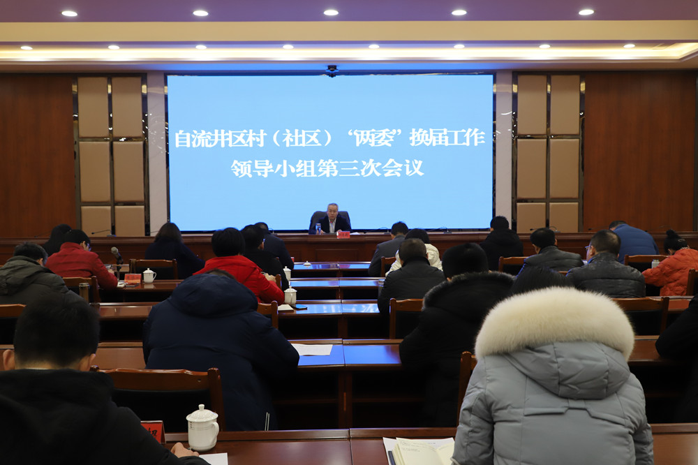 自流井区村（社区）“两委”换届工作领导小组第三次会议 (2).jpg
