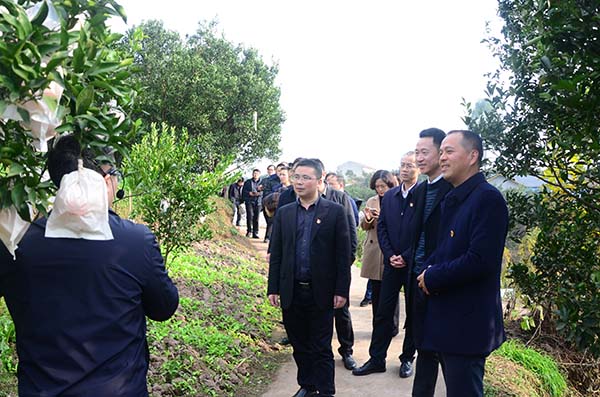 外.jpg