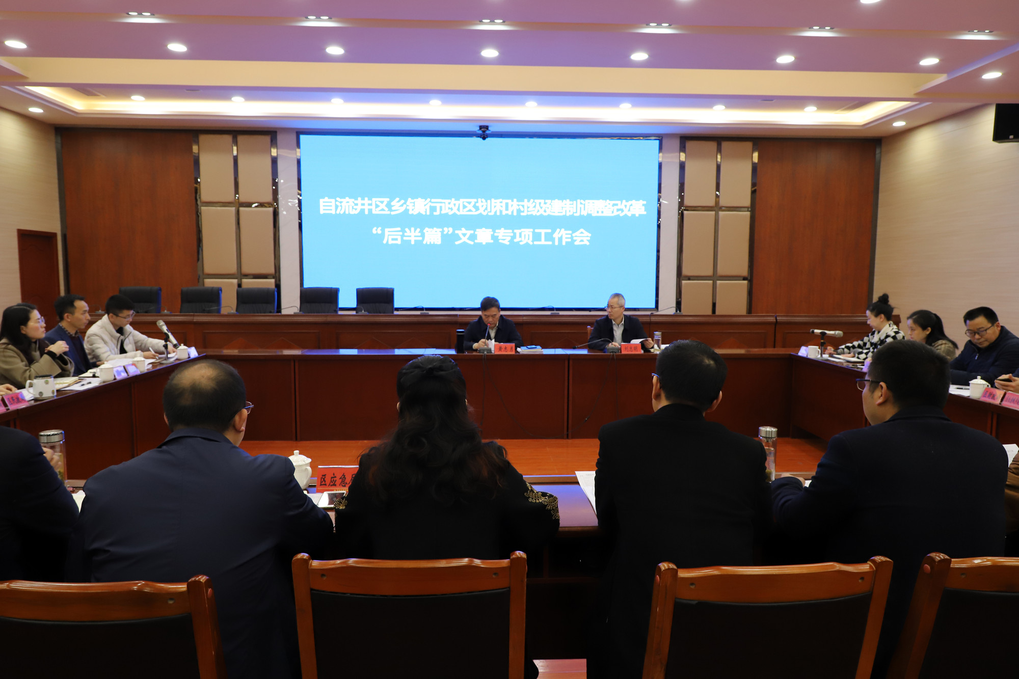 自流井区乡镇行政区划和村级建制调整改革“后半篇”文章专项工作会1.jpg