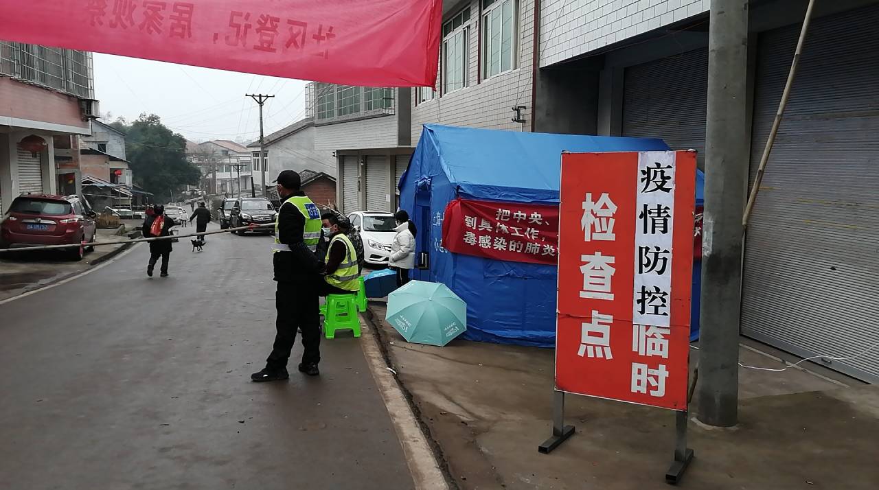 何市镇成立15支党员突击队全方位、无死角开展防疫排查宣传3.jpg